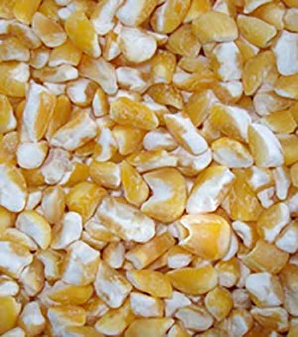 corn after degerming 1.jpg