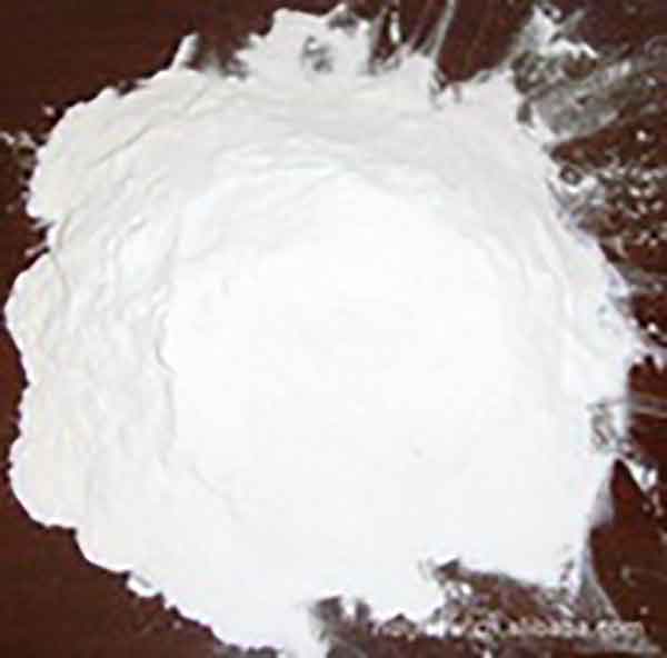 porous starch