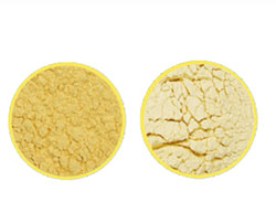 modified starch production line.jpg