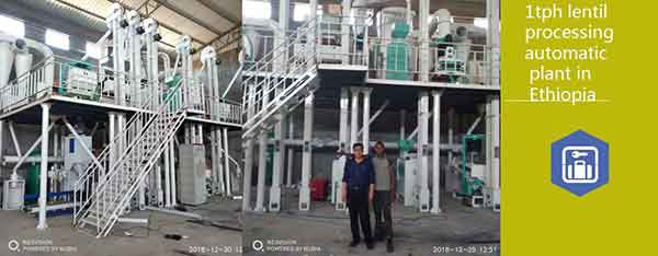 Lentil Processing Plant