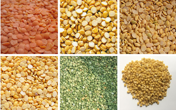 L&iacute;nea completa de limpieza y pelado de frijoles 5.jpg