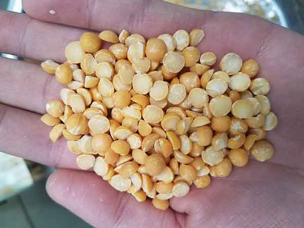 DTPZ-26 peas and soybean peeling machine .jpg